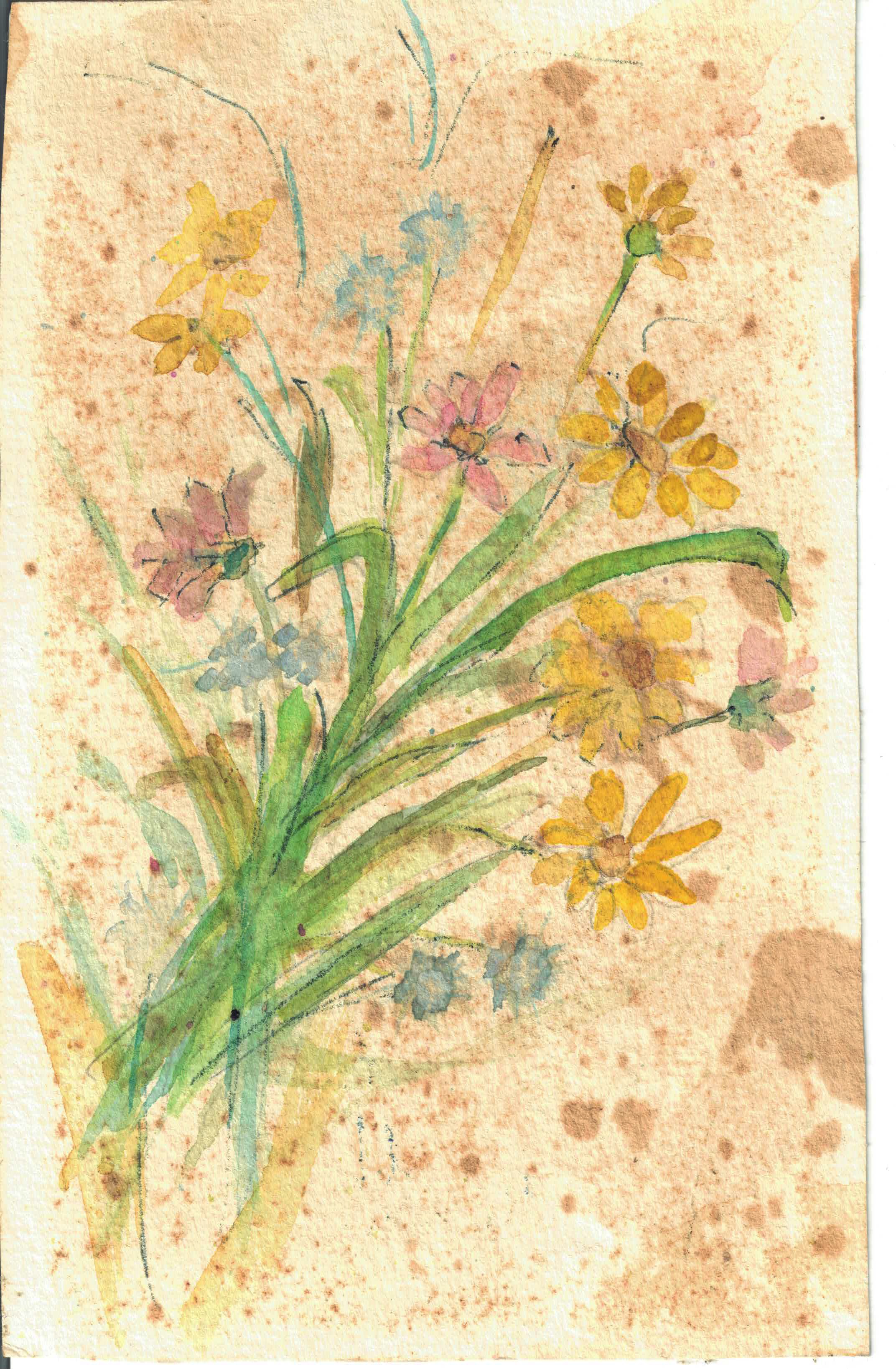 Hazel Chapman Painting found in Williams arts n crafts shop a few years after her passing.
